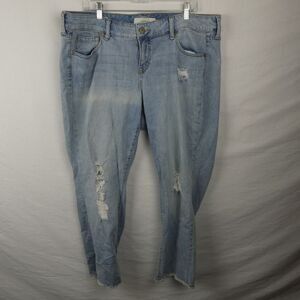 Torrid Plus Size Boyfriend Peekaboo Lace Destroyed Knee Jeans Frayed Hem Light